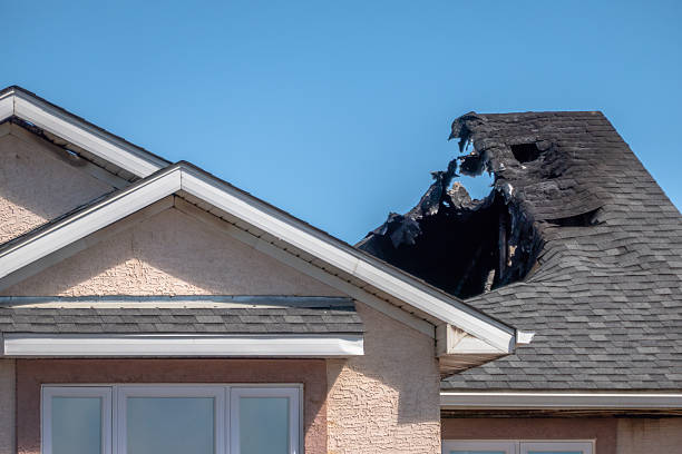 Top rated local Odor Removal specialists in Maryland, MD